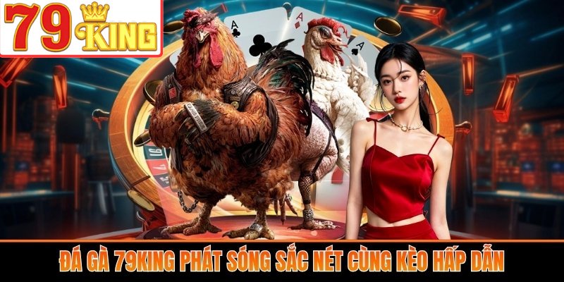 Đá Gà 79King phát sóng sắc nét cùng kèo hấp dẫn