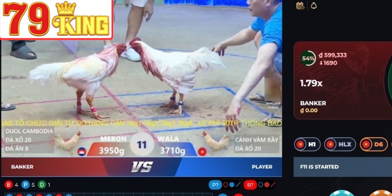 Đá gà cựa dao kịch tính tại Đá Gà 79King
