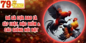 Đá Gà Cựa Dao Là Gì? Luật, Đặc Điểm & Các Giống Nổi Bật