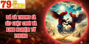 Đá Gà Thomo Là Gì? Luật Chơi Và Kinh Nghiệm Từ 79King